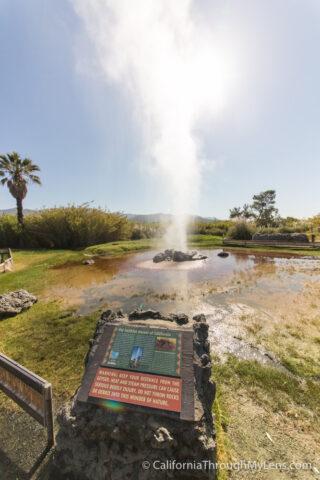 Old Faithful Geyser-9