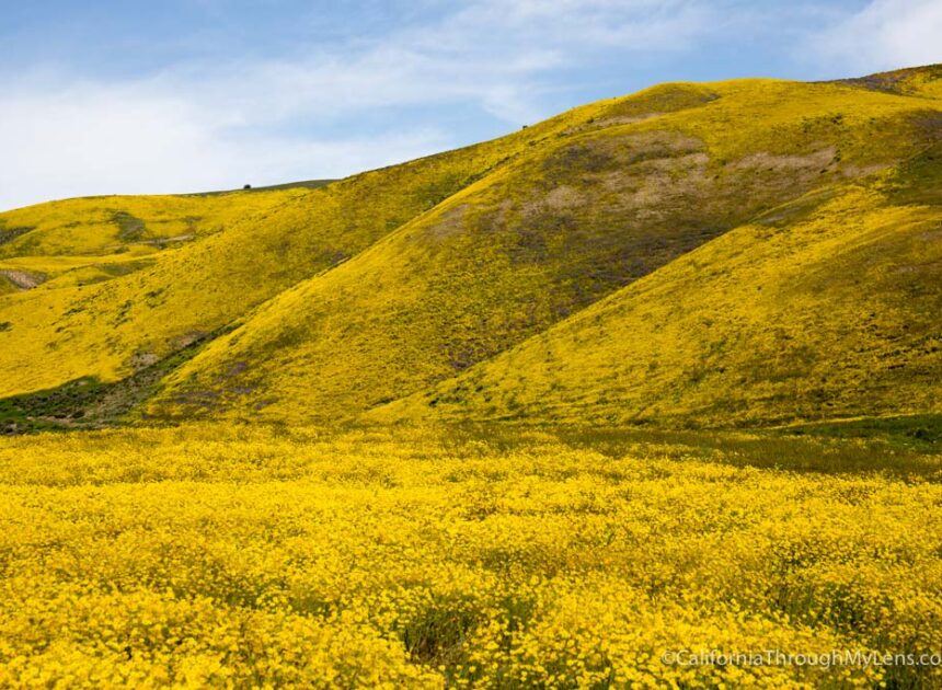 Carrizo Plain Nationwide Monument: Soda Lake, Discovering Wildflowers & Exploring the Park