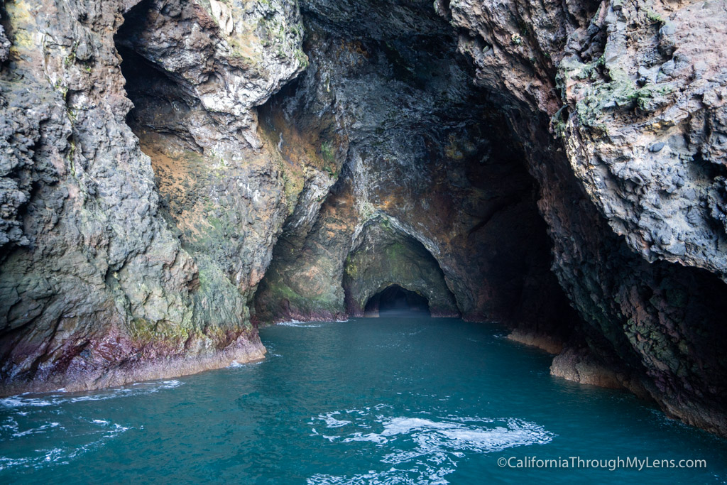 Painted Cave: Considered one of many Largest Sea Caves inside the World