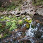 Headwaters of the Sacramento River in Mt Shasta Metropolis Park