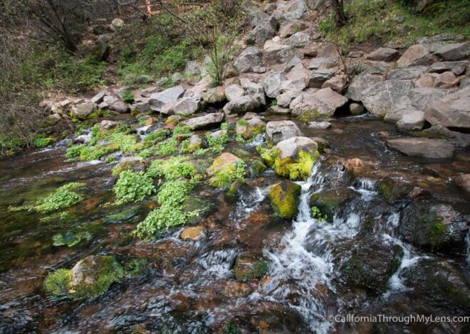 Headwaters of the Sacramento River in Mt Shasta Metropolis Park