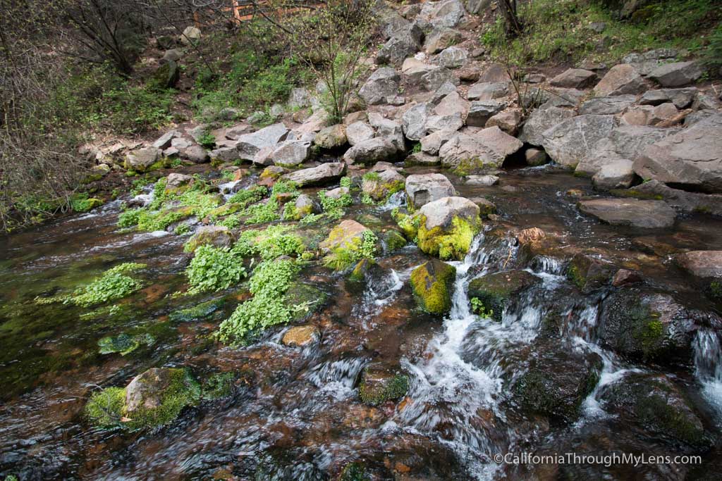 Headwaters of the Sacramento River in Mt Shasta Metropolis Park